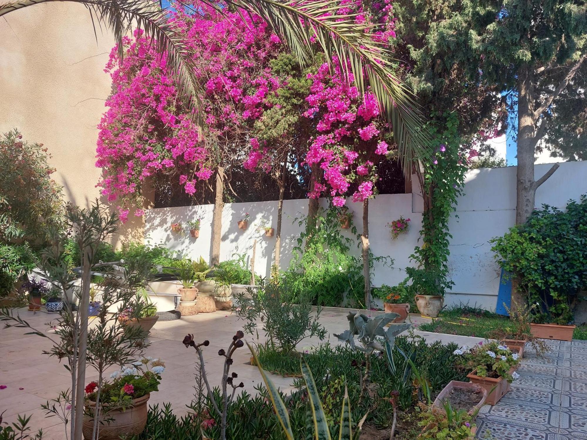 Villa Azaiiza Susa Dış mekan fotoğraf