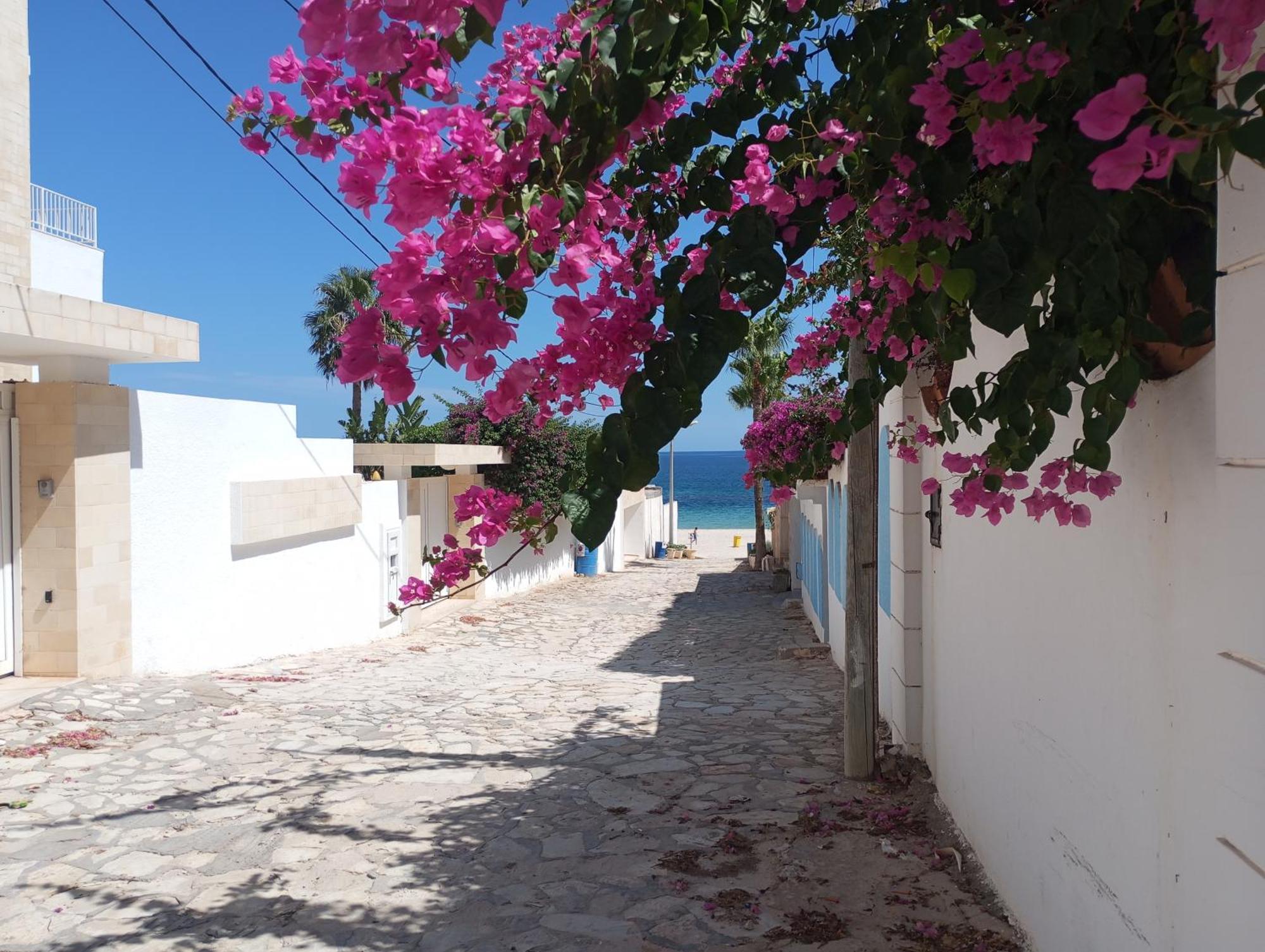 Villa Azaiiza Susa Dış mekan fotoğraf